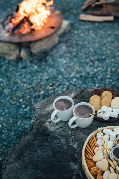 istock Marshmallows for roasting on a tray with campfire on the background. 1835836541