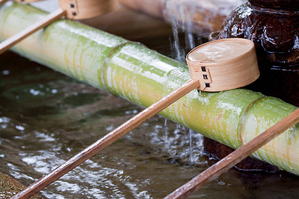 Water cups in a fountain