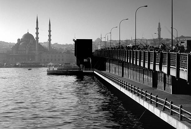 istock Bridge and Mosque in Istanbul 183584192