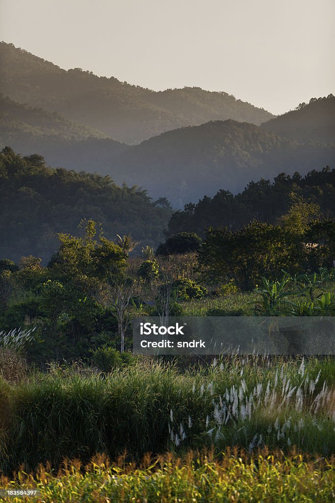 Ländliche Landschaft im Norden von Thailand - Lizenzfrei Asien Stock-Foto