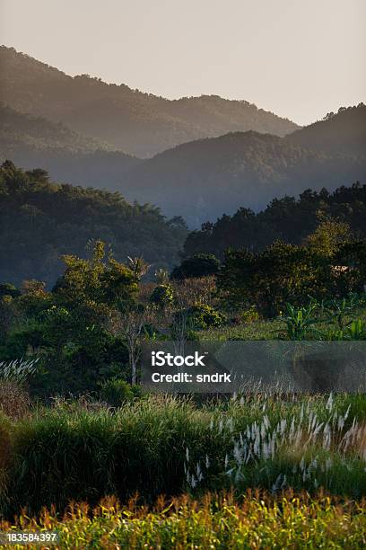 Ländliche Landschaft Im Norden Von Thailand Stockfoto und mehr Bilder von Asien - Asien, Baum, Berg