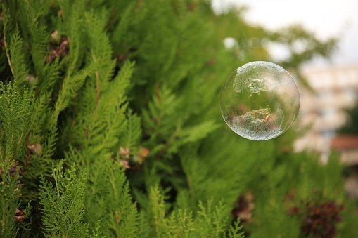 Beautiful soap bubble floating outdoors. Space for text