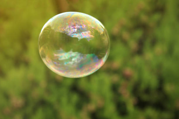 istock One beautiful clear soap bubble floating outdoors 1835849811