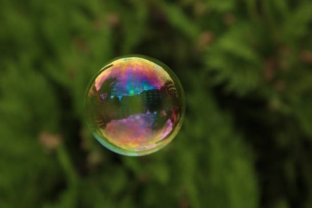 istock One beautiful clear soap bubble floating outdoors 1835850346