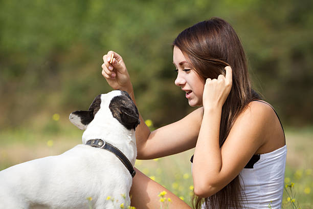 istock Girl feeding her dog 183585068