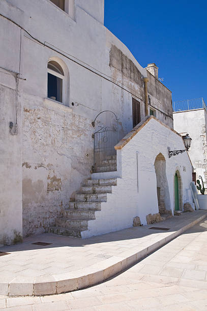istock Mr Alleyway. Missive chicks. Apulia. Italy. 183585676