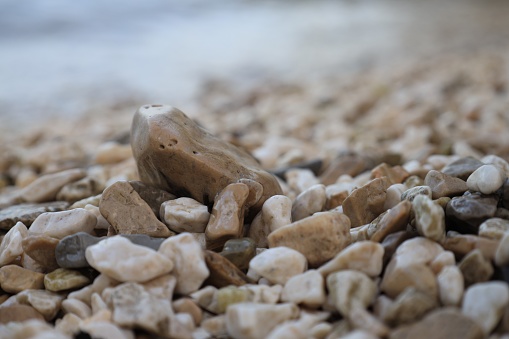 Coast with stones and pebbles on summer day, closeup