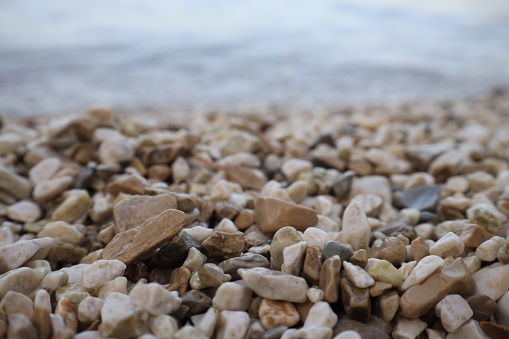 Coast with stones and pebbles on summer day, closeup