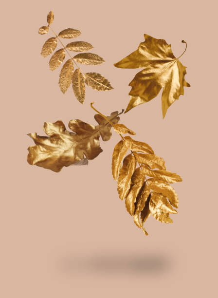 istock Golden autumn leaves falling on pastel pink background 1835864511