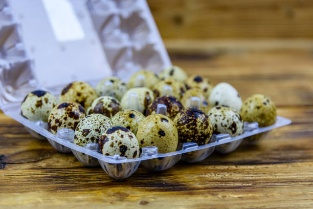 Quail eggs in container box