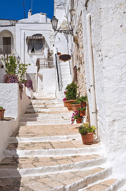 istock Mr Alleyway. Missive chicks. Apulia. Italy. 183587507