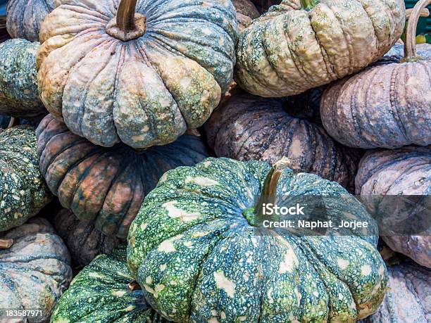 Vendemmia Autunnale Pumpkins In Tailandia - Fotografie stock e altre immagini di Alimentazione sana - Alimentazione sana, Cibo, Cibo biologico