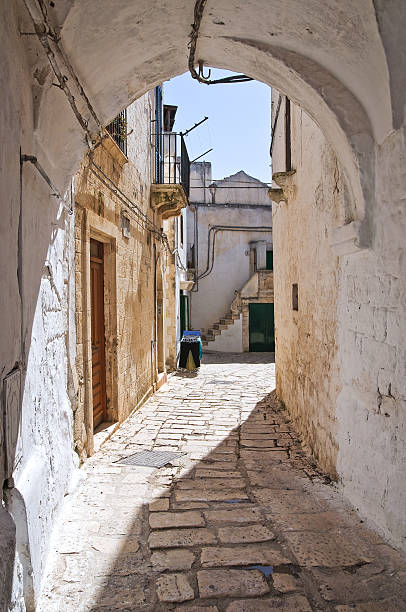 istock Mr Alleyway. Missive chicks. Apulia. Italy. 183588625