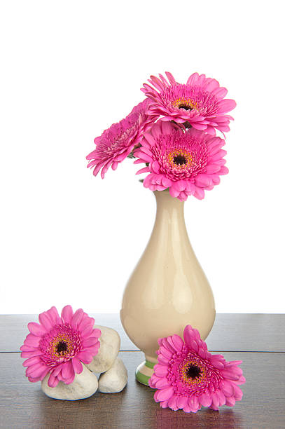 istock Pink Gerbera in vase and white stones 183590159