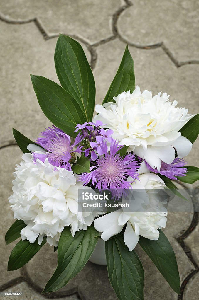 Летние цветы - Стоковые фото Асфальт роялти-фри