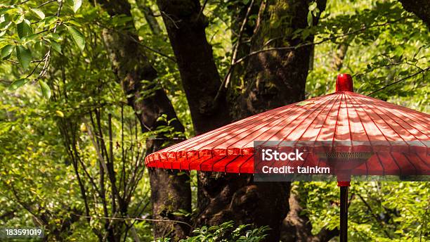 Guardasol De Japonês - Fotografias de stock e mais imagens de Ao Ar Livre - Ao Ar Livre, Bambu - Família da relva, Cor verde