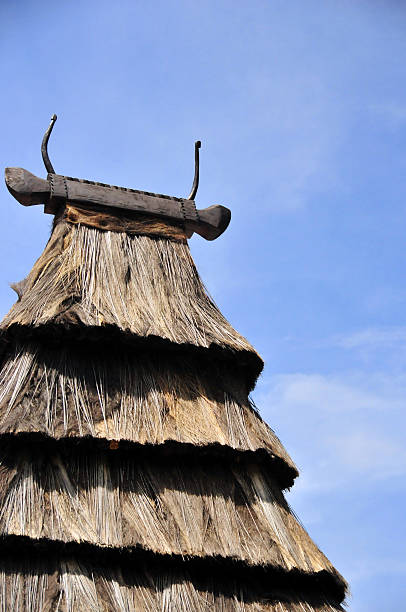 timor leste: arquitetura timorese tradicional - oof imagens e fotografias de stock