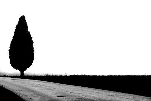 Silhouette of the man walking down the road on a misty winter day.