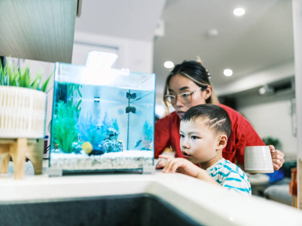 istock Asian female registered nurse and her young son feeding pet fish 1835923744