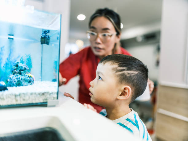 istock Asian female registered nurse and her young son feeding pet fish 1835926836
