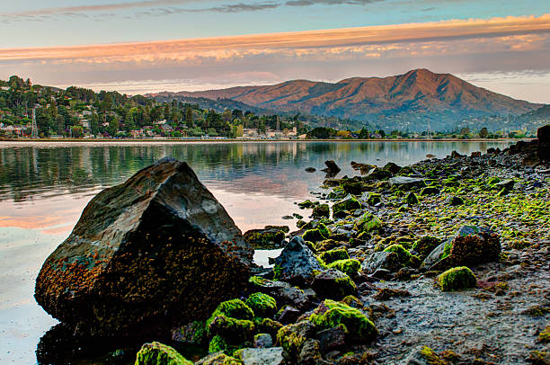 monte tamalpais bay refletem na água ao nascer do sol - madera - fotografias e filmes do acervo