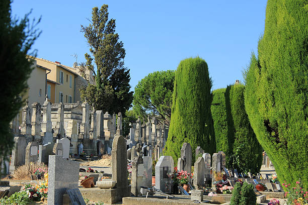 istock Old cemetery in the Provence 183594785