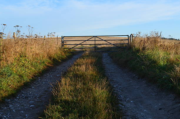 istock Metal five bar farm gate 183595477