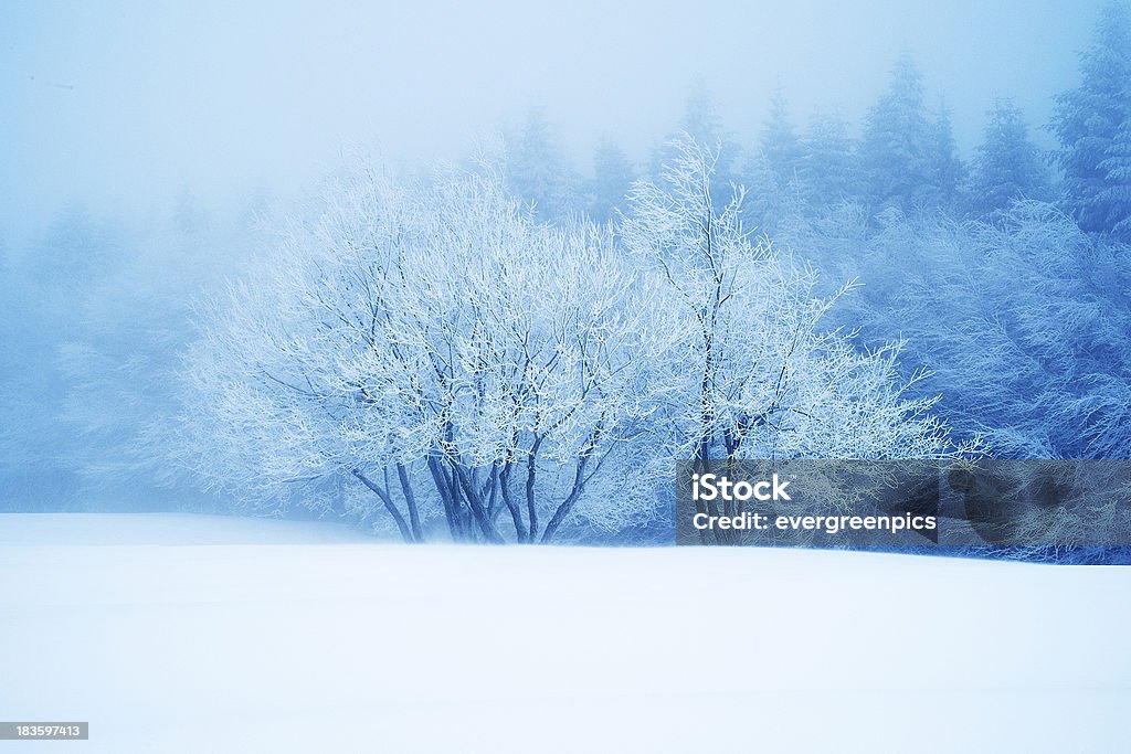 Paysage hivernal - Photo de Arbre libre de droits