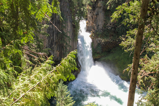 Toketee Falls is one of the most famous in all waterfall in Oregon.