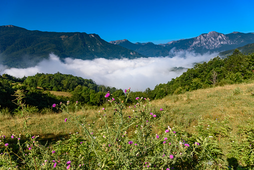 Beautiful mist over green forest on mountain. Fog in the valley. The morning mist  in Bosnia and Herzegovina.
