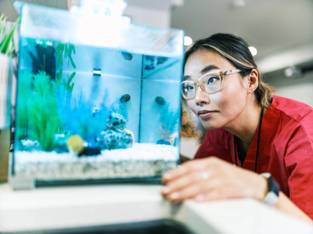 istock Asian female registered nurse feeding pet fish 1835989724