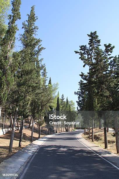 Murcia Foto de stock y más banco de imágenes de Aire libre - Aire libre, Bosque, España