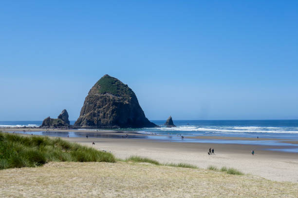 istock Oregon Coastline, USA 1836019599