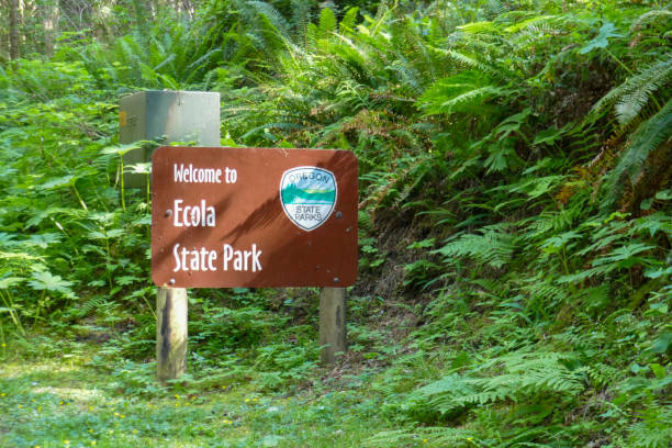 istock Ecola State Park, Oregon, USA 1836044599