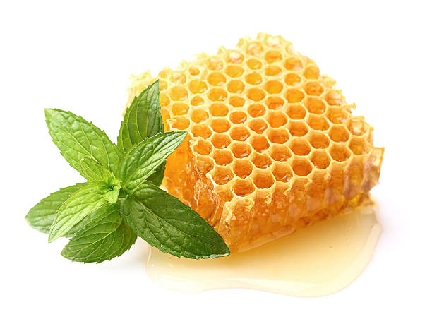 Honeycomb with mint stock photo