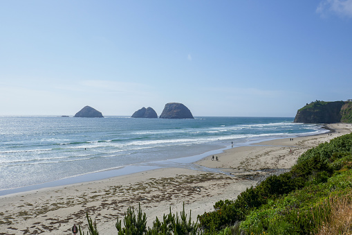 Oregon Coastline stretches from south to north, from the borer of California to the Columbia river.