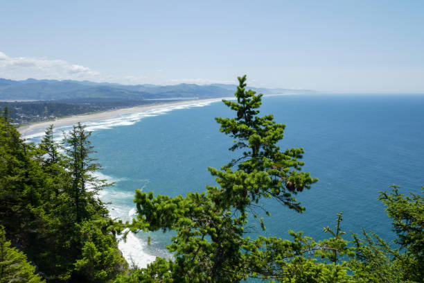 istock Oregon Coastline, USA, Part 2 1836058375