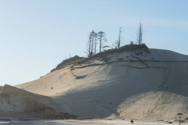 istock Oregon Coastline, USA, Part 2 1836058895