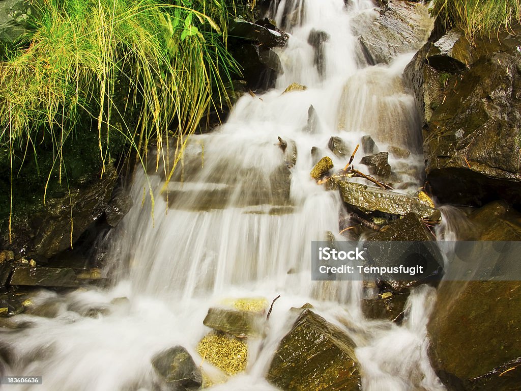 Cascata na floresta - Royalty-free Ao Ar Livre Foto de stock