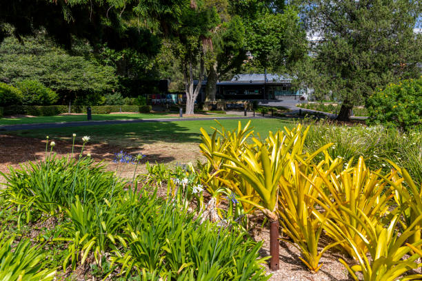 istock The Botanical Gardens of Sydney Australia 1836070598