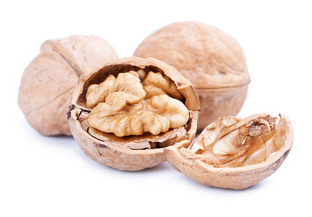 istock closeup of a walnut isolated on white background 183607516
