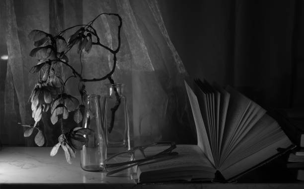 Open books close up, black and white, reading, education, knowledge concept.