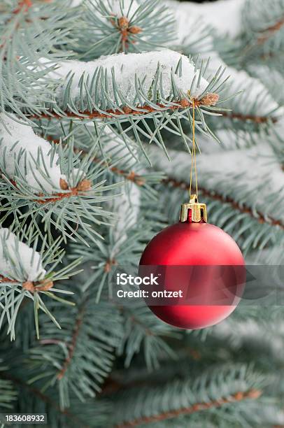 Snowy Fir Tree Branch With Christmas Decoration Stock Photo - Download Image Now - Beauty, Branch - Plant Part, Celebration