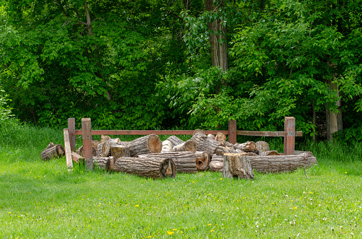 Wooden logs in the field