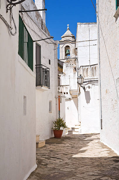istock Mr Alleyway. Missive chicks. Apulia. Italy. 183613874