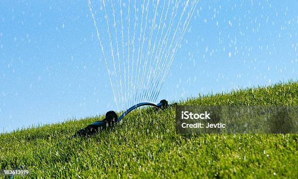 Sprinkler - Fotografie stock e altre immagini di Acqua - Acqua, Agricoltura, Ambientazione esterna