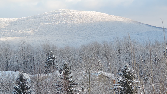 Winter day in Quebec
