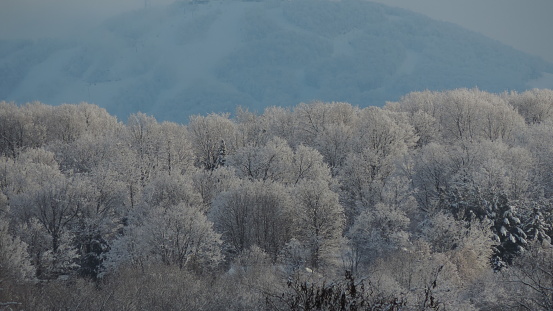 Winter day in Quebec