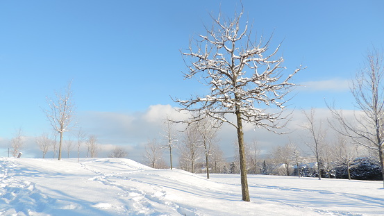 Winter day in Quebec