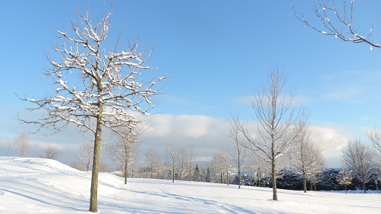 Winter day in Quebec